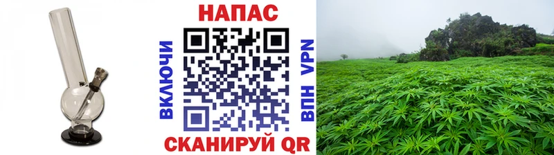 МАРИХУАНА план  Купить  Белая Калитва 